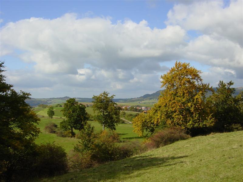 13-Blick auf Mosbach